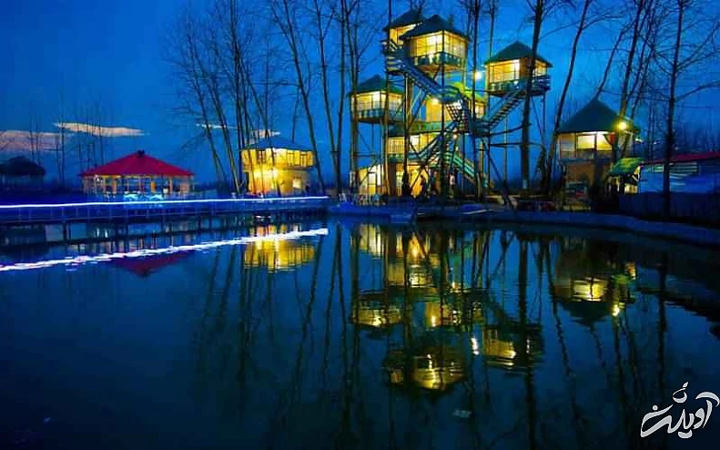 خانه درختی که دل گردشگران گیلان را می برد - علاقه مندان کارتون خانواده دکتر ارنست بخوانند - نیلوفرانه در باد پیچیده تاب خورده!